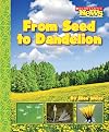 From Seed to Dandelion