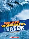 Wicked and Wonderful Water (Shockwave: Economics and Geography)