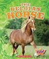 The Belgian Horse