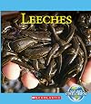 Nature's Children: Leeches