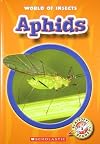 Aphids