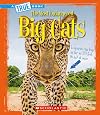 The Most Endangered Big Cats (True Book: The Most Endangered)
