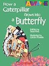 How a Caterpillar Grows Into a Butterfly (Amaze)