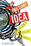 My Brilliant Idea (And How It Caused My Downfall)