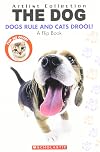 Dogs Rule and Cats Drool / Cats Rule And Dogs Drool: A Flip Book (Artlist Collection: The Dog and Artlist Collection: The Cat)