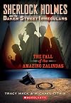 The Fall of the Amazing Zalindas