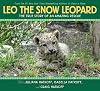 Leo the Snow Leopard