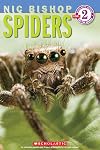 Spiders