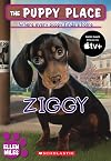 Ziggy