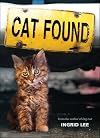 Cat Found
