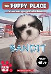 Bandit