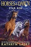 Star Rise