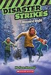 Blizzard Night (Disaster Strikes #3) (3)