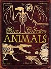 Animals (Bone Collection)