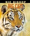 Big Cats