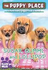 Sugar, Gummi and Lollipop
