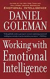 Working with Emotional Intelligence