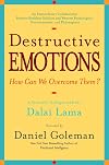 Destructive Emotions: A Scientific Dialogue with the Dalai Lama