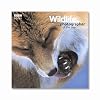 Wildlife Photographer of the Year: Portfolio 16