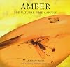 Amber: The Natural Time Capsule