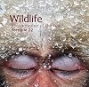 Wildlife Photographer of the Year: Portfolio 22