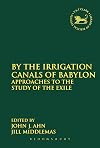 By the irrigation canals of Babylon : approaches to the study of the exile
