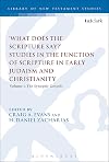 'What Does the Scripture Say?' Studies in the Function of Scripture in Early Judaism and Christianity, Volume 1: Volume 1: The Synoptic Gospels (The Library of New Testament Studies)