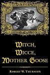The Witch Hunts: A History of the Witch Persecutions in Europe and North America