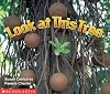 Look at This Tree
