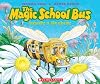 The Magic School Bus Inside a Beehive
