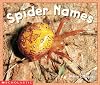 Spider Names