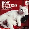 How Kittens Grow