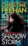 Shadow Storm (A Shadow Riders Novel)