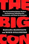 The Big Con: How the Consulting Industry Weakens Our Businesses, Infantilizes Our Governments, and Warps Our Economies