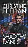 Shadow Dance (A Shadow Riders Novel)