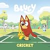 Bluey: Cricket