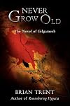 Never Grow Old: The Novel of Gilgamesh