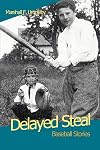 Delayed Steal: Baseball Stories