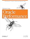 Optimizing Oracle Performance