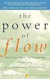 The Power of Flow: Practical Ways to Transform Your Life with Meaningful Coincidence