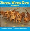 Shaggy, Waggy Dogs (And Others)