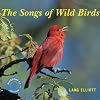The Songs of Wild Birds