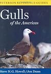 Gulls of the Americas