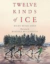 Twelve Kinds of Ice