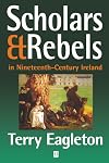 Scholars & rebels in nineteenth-century Ireland