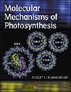 Molecular Mechanisms of Photosynthesis