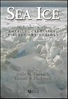 Sea ice