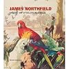 James Northfield and the art of selling Australia