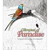 Glimpses of Paradise: The Quest for the Beautiful Parrakeet