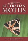 Guide to Australian Moths